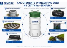 Зорде Рейн 8 Миди